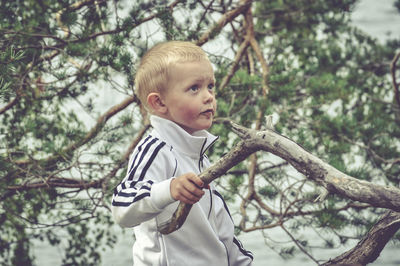 Portrait of boy with arms raised on tree