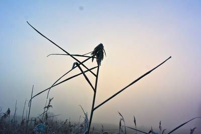 Low angle view of windmill