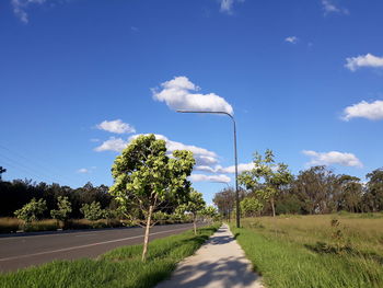 Road amidst trees on field against sky