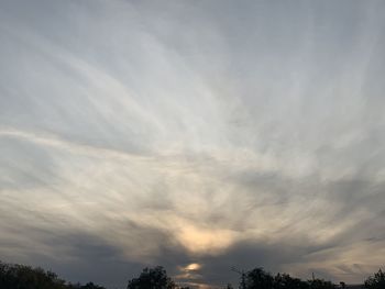 Low angle view of trees against sky