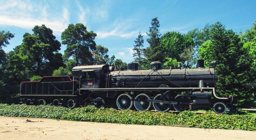 Train on railroad track amidst trees against sky