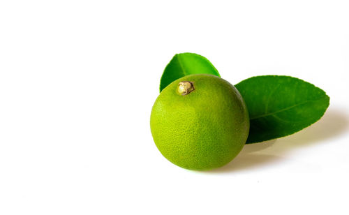 Close-up of green fruit against white background