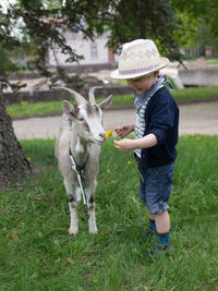 Side view of a boy with horse