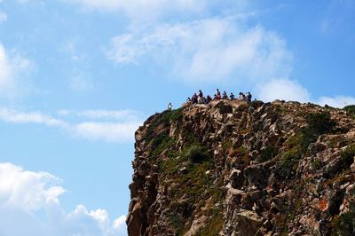 Low angle view of birds perching on rock against sky