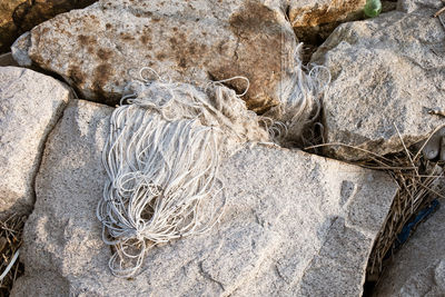 High angle view of fishing net on rock