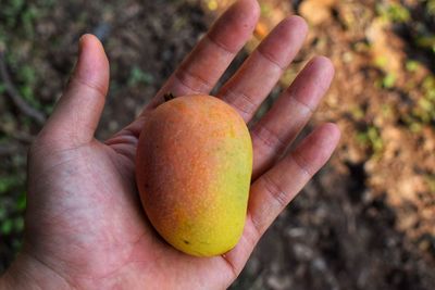 Close-up of hand holding apple