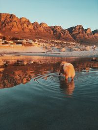 Lake in desert against clear sky