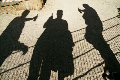 Shadows of three men toasting with beer bottles