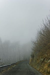 Trees on landscape against foggy weather