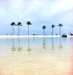 Palm trees on beach against cloudy sky