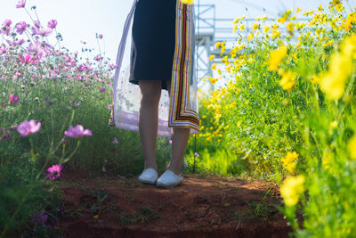 Low section of woman standing by flowering plants