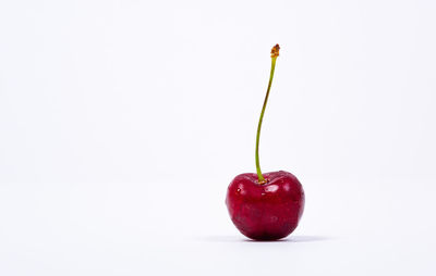 Close-up of apple against white background