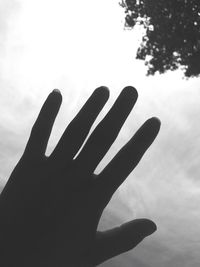 Close-up of person hand against sky