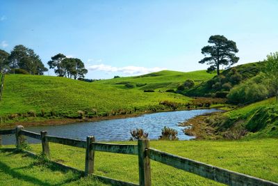 New zealand