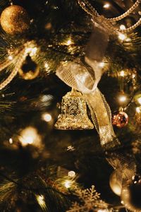 Close-up of illuminated christmas tree at night