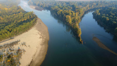 High angle view of sea and trees