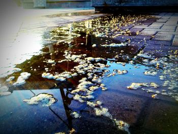 Reflection of trees in puddle