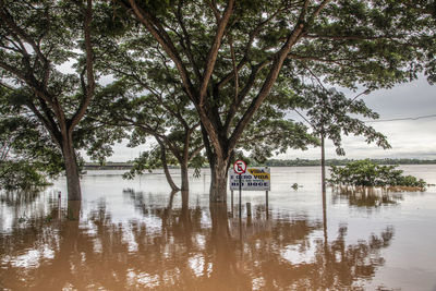 River flooding due to rain causes large mud next to a dam that prevents the rivers from meeting 