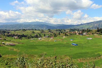 Scenic view of field against sky