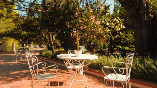 Empty chairs and table by trees in yard