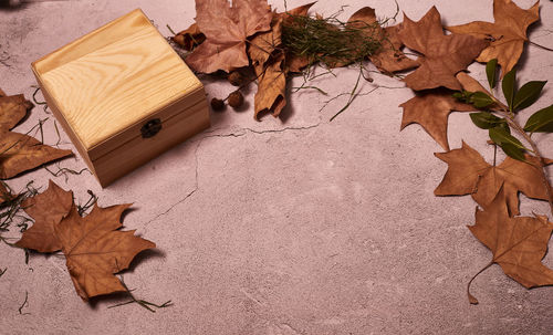 High angle view of dry leaves on table