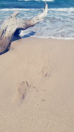 Scenic view of beach