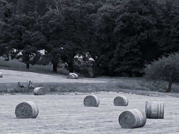 Black and white monochrome hay bales