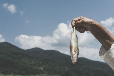 Cropped hand holding fish against sky