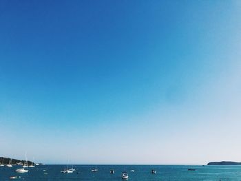 Sailboat in sea against clear blue sky