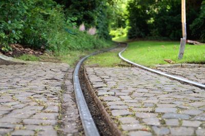 Close-up of railway tracks along trees