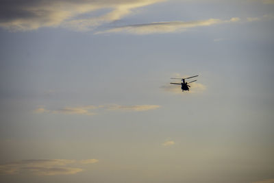 Low angle view of airplane flying in sky