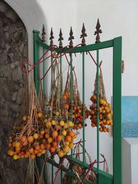 Tomatoes drying