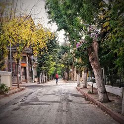 Rear view of man walking on footpath amidst trees