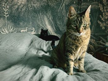 Portrait of cat sitting on bed at home