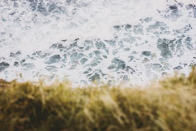 Close-up of wave on field against sea