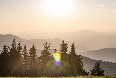 Rolling forest hills silhouettes with sunlight glares landscape photo