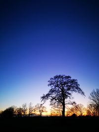 Silhouette trees on field against clear sky at sunset