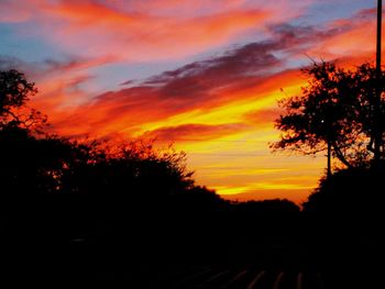 Silhouette trees against dramatic sky during sunset