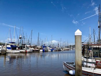 Sailboats moored at harbor