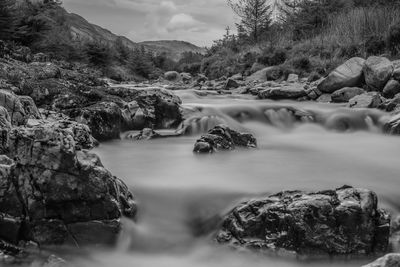 Stream flowing through rocks in forest