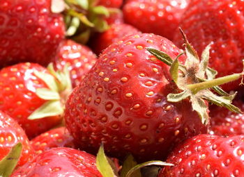 Close-up of strawberries