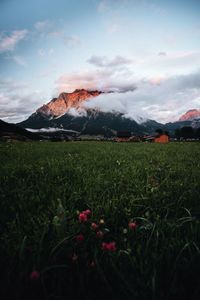 Scenic view of field against sky