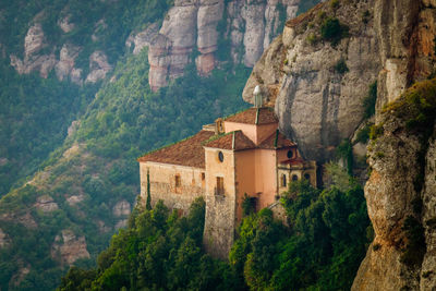 Buildings in a forest