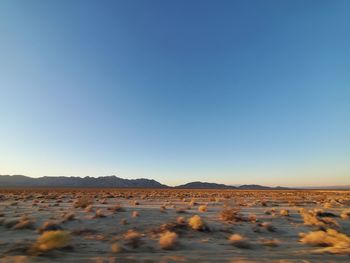 Surface level of desert against clear blue sky