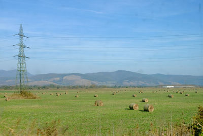 Sheep grazing on field against sky