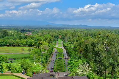 High angle view of trees on field against sky