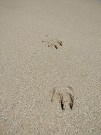 High angle view of footprints on sand