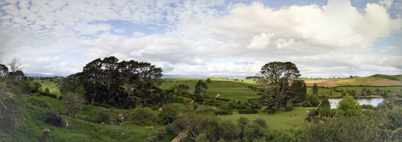 Panoramic shot of trees on field against sky