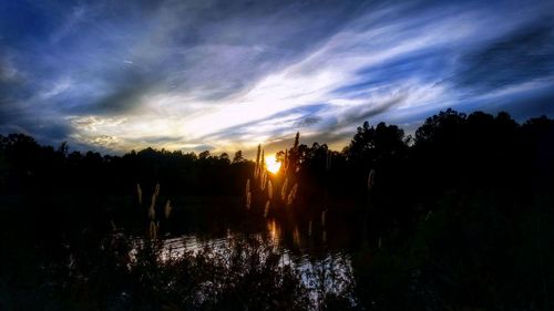 Silhouette trees on landscape against sky at sunset