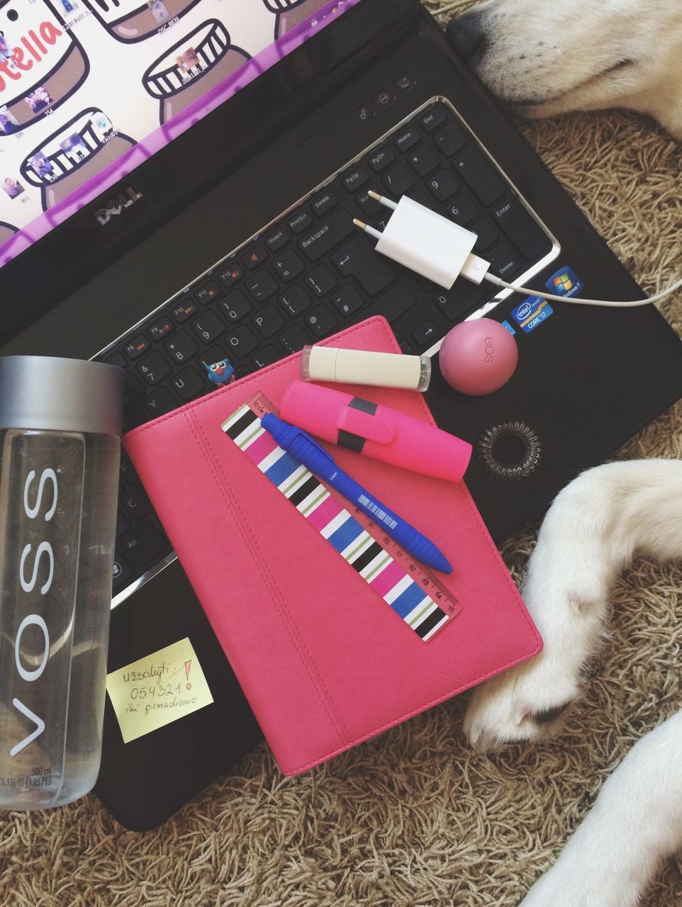 indoors, communication, high angle view, table, wireless technology, text, close-up, book, technology, domestic cat, laptop, paper, home interior, pen, still life, western script, connection, relaxation, cat, education